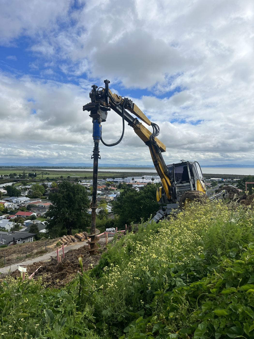Tree removal and forestry